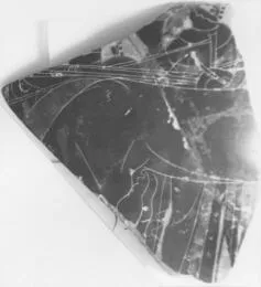 AMPHORA (?), FRAGMENT (ATHENIAN, BLACK-FIGURE)