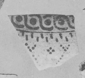 AMPHORA, BELLY, FRAGMENT (EAST GREEK, FIKELLURA)