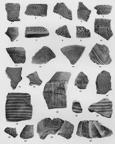VARIOUS (VUCEDOL)