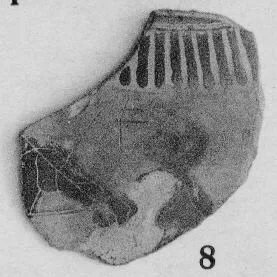 OINOCHOE, FRAGMENT (ATHENIAN, BLACK-FIGURE)