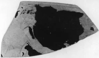 CUP, FRAGMENT (ATHENIAN, RED-FIGURE)
