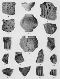 VARIOUS (STARCEVO)