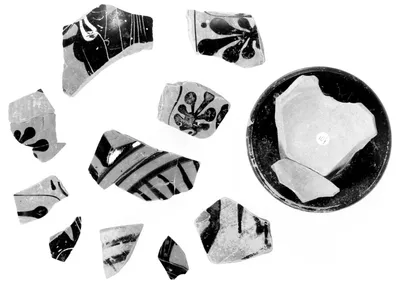 Attic Black-Figure Neck Amphora Fragment