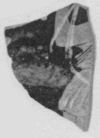 CUP, FRAGMENT (ATHENIAN, RED-FIGURE)