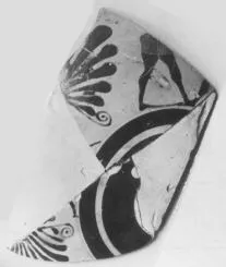 CUP A, FRAGMENT (ATHENIAN, BLACK-FIGURE)
