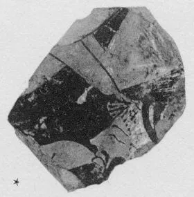 CUP, FRAGMENT (ATHENIAN, RED-FIGURE)
