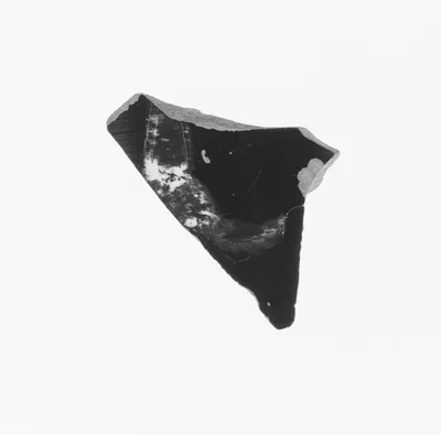 Italic Vase Fragment