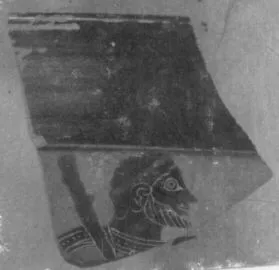 BOWL, FRAGMENT (ATHENIAN, BLACK-FIGURE)