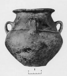 AMPHORA, BELLY (ITALIAN IRON AGE)