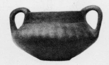 AMPHORA, BELLY (VEIAN)