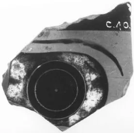 SKYPHOS, FRAGMENT (ATHENIAN, BLACK-FIGURE)