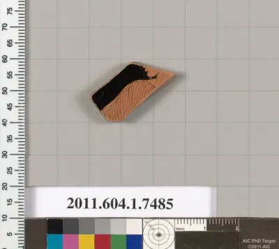 Terracotta fragment of a kylix (drinking cup)