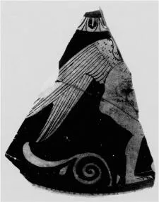 LEKANIS LID, FRAGMENT (ATHENIAN, RED-FIGURE)