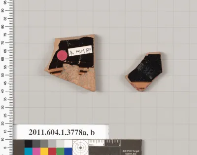 Terracotta fragments of kylikes (drinking cups)