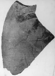 LEKYTHOS, FRAGMENT (ATHENIAN, RED-FIGURE)