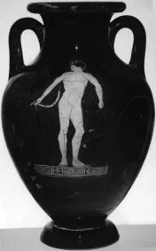 AMPHORA, BELLY, TYPE C (ATHENIAN, RED-FIGURE)