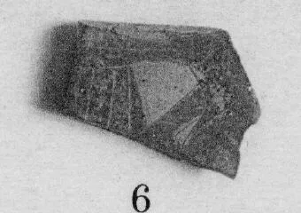 KRATER, FRAGMENT (ATHENIAN, BLACK-FIGURE)