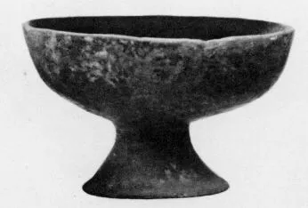 CUP (VILLA NOVA)