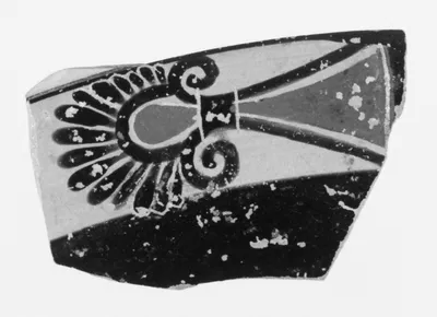 Lakonian Cup Fragment