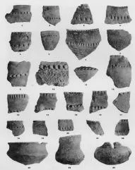 VARIOUS (VUCEDOL)