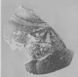 STAMNOS, FRAGMENT (EAST GREEK, OUTLINE)