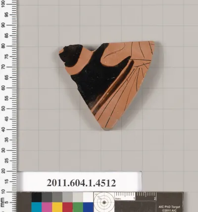 Terracotta fragment of a kylix (drinking cup)