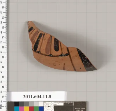 Terracotta fragment of an amphora (jar)?