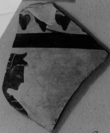 SKYPHOS, FRAGMENT (ATHENIAN, BLACK-FIGURE)