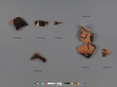 Attic Black-Figure Oinochoe Fragment (comprised of 2 joined fragments)