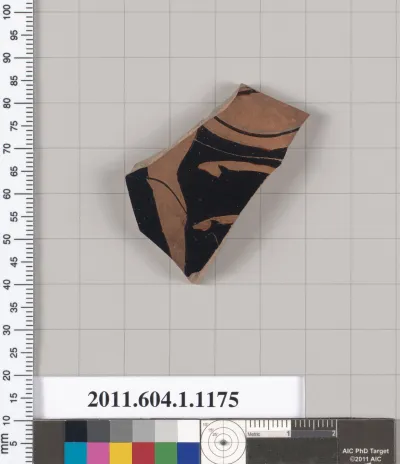 Terracotta fragment of a kylix (drinking cup)