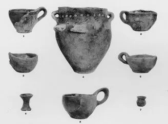 VARIOUS (OMOLJICA)