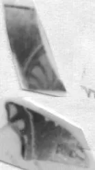 CUP, FRAGMENTS (ATHENIAN, RED-FIGURE)