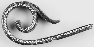 Apulian Volute Handle Fragment