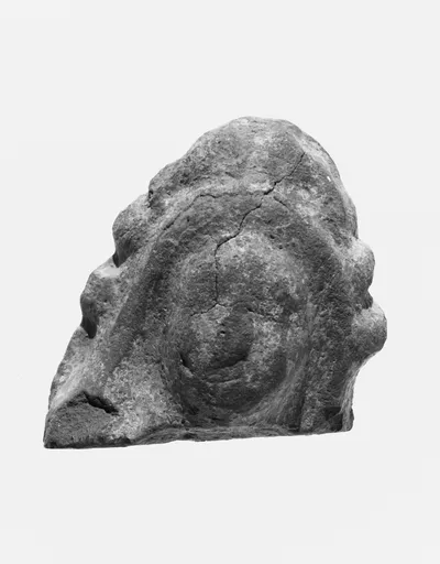 Female Head