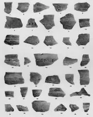 VARIOUS (VUCEDOL)
