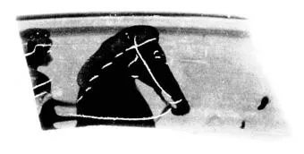CUP, FRAGMENT (ATHENIAN, BLACK-FIGURE)