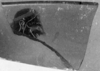 CUP, SIANA, FRAGMENT (ATHENIAN, BLACK-FIGURE)