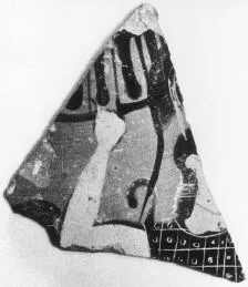 AMPHORA, NECK, FRAGMENT (ATHENIAN, BLACK-FIGURE)