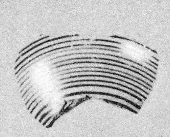 ARYBALLOS, FRAGMENT (PROTOCORINTHIAN)