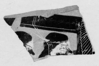 AMPHORA, BELLY, FRAGMENT (ATHENIAN, BLACK-FIGURE)