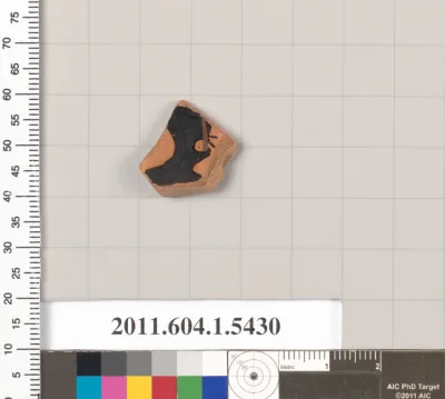 Terracotta fragment of a kylix (drinking cup)