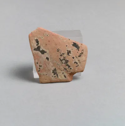 Vase fragment