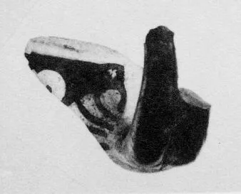 LEKYTHOS, FRAGMENT (FALISCAN, RED-FIGURE)