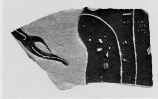 AMPHORA (?), FRAGMENT (ATHENIAN, BLACK-FIGURE)