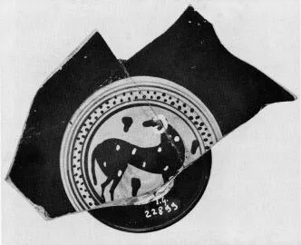 CUP, FRAGMENT (ATHENIAN, BLACK-FIGURE)