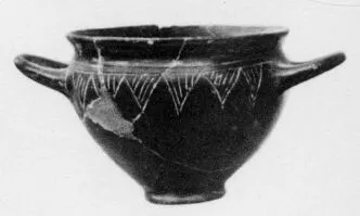 SKYPHOS (VILLA NOVA)