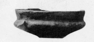 DISH (VEIAN)