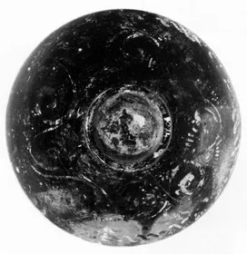LID (SOUTH ITALIAN, GNATHIAN)