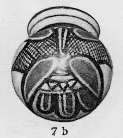 ARYBALLOS (CORINTHIAN, BLACK-FIGURE)