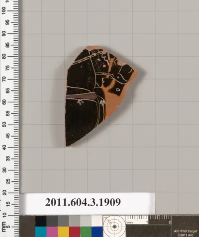 Terracotta fragment of a kylix (drinking cup) or a skyphos (deep drinking cup)?